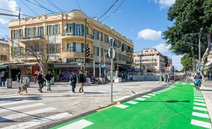 אלנבי היום  (צילום: רועי כהן קורמן)