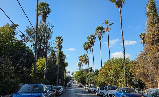 רחוב המייסדים רחוב המייסדים