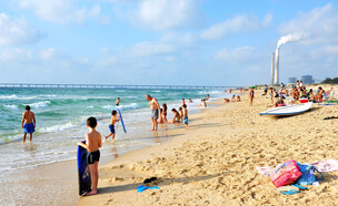 חוף זיקים (צילום: ChameleonsEye, shutterstock)