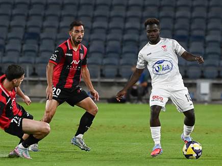 הפתיחה הייתה מאוזנת (ברני ארדוב)