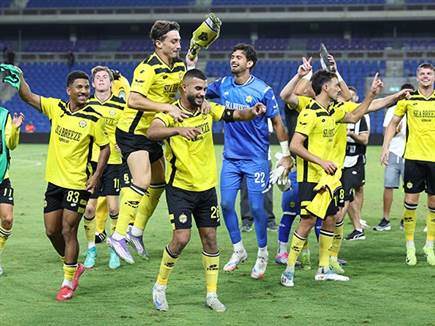 חגיגות בצהוב (אלן שיבר)