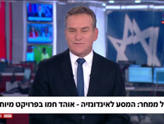 20indo_vtr2_n20251026_v1 (צילום: חדשות)