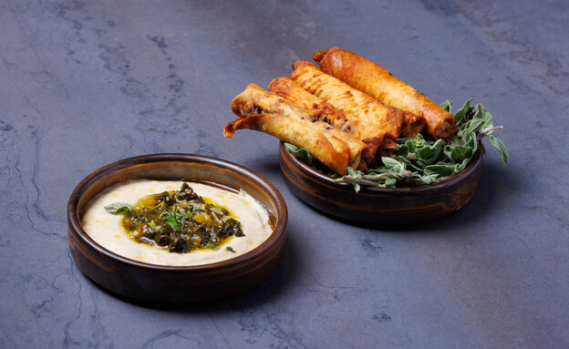 סיגר פטריות - ניצן אהרן