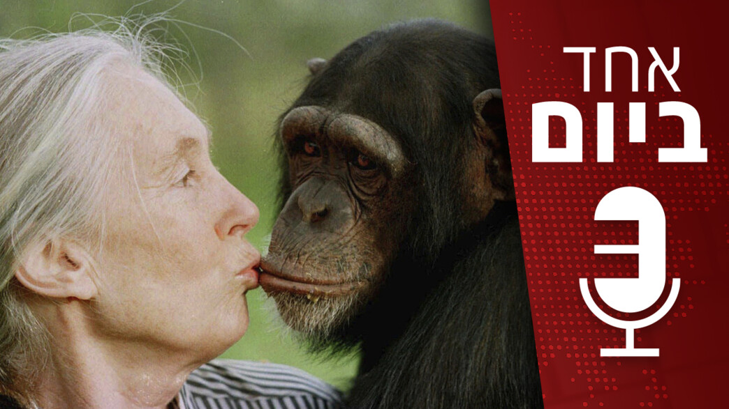 אחד ביום - 27.10.2025 אחד ביום - 27.10.2025