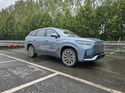 צילום: יואב פולס (צילום: ספורט 5)