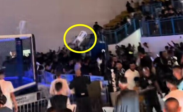 קטטת הכיסאות יצאה משליטה