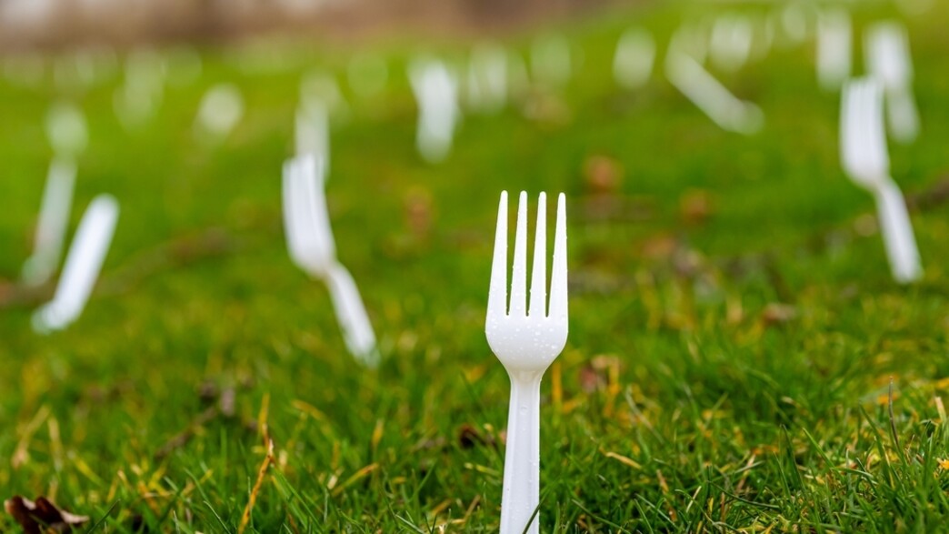 מזלגות בגינה מזלגות בגינה