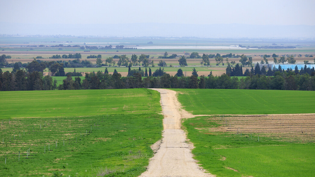 שדות חקלאיים בעוטף עזה שדות חקלאיים בעוטף עזה