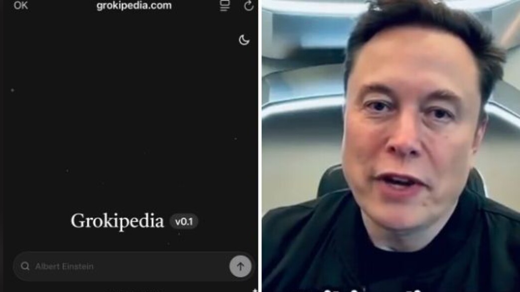 אילון מאסק, גרוקיפדיה