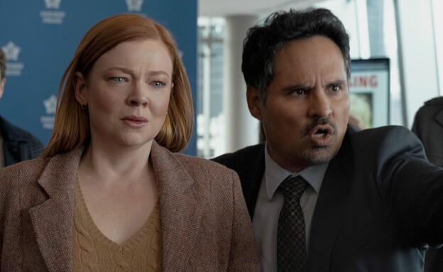 שרה סנוק, "הכל באשמתה"