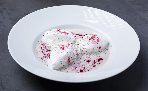 איים צפים של הדס בנדל