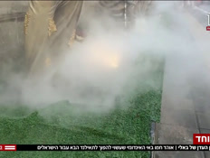 20bali_vtr2_n20251029_v1 (צילום: חדשות)