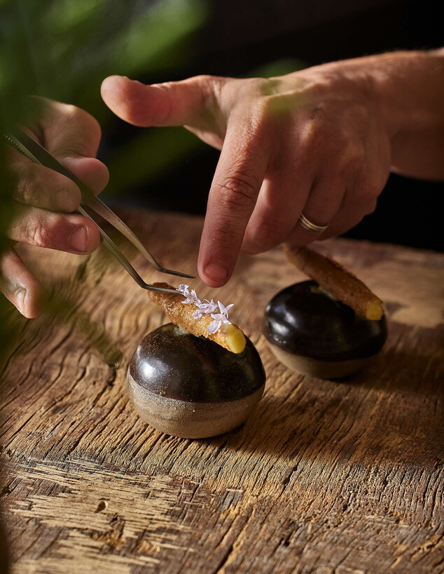 האוכל של בוץ האוכל של בוץ