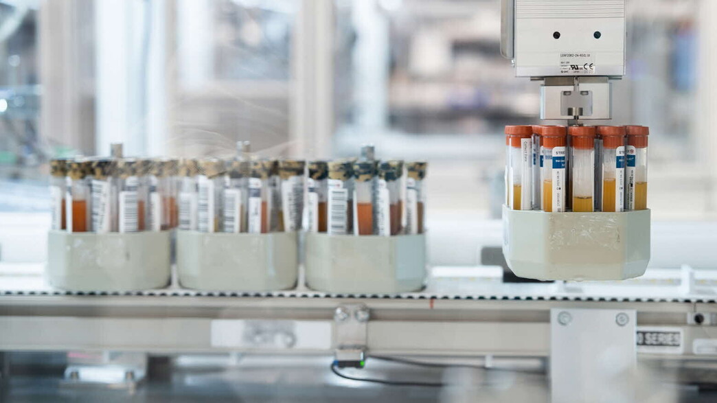 אונקוטסט אונקוטסט