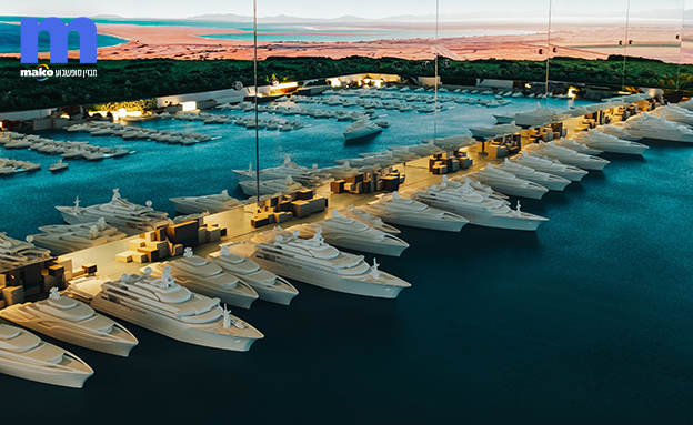 סעודיה (צילום: shutterstock_Anemone)