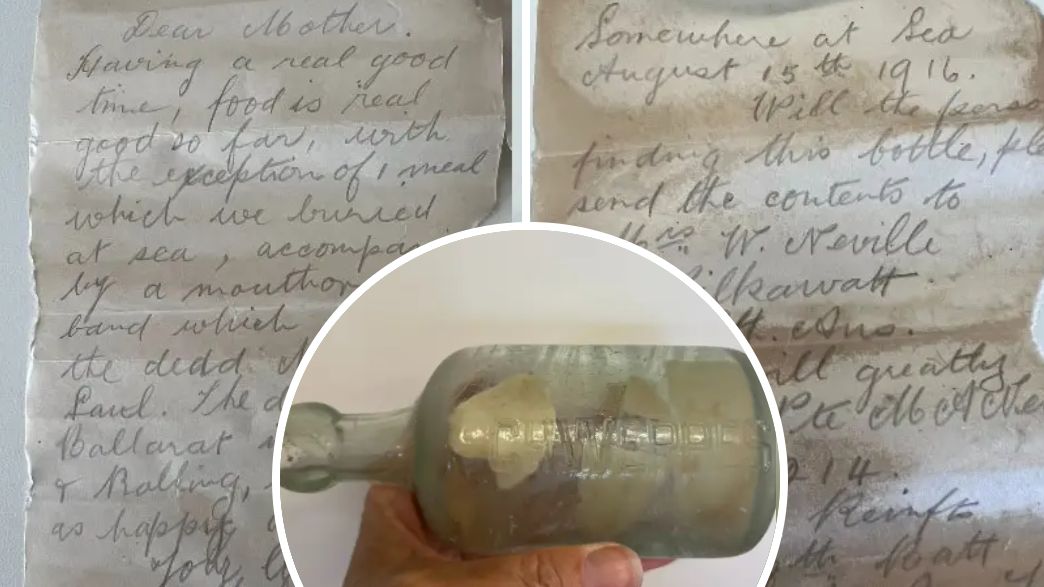 אלכסנדר נוויל אלכסנדר נוויל