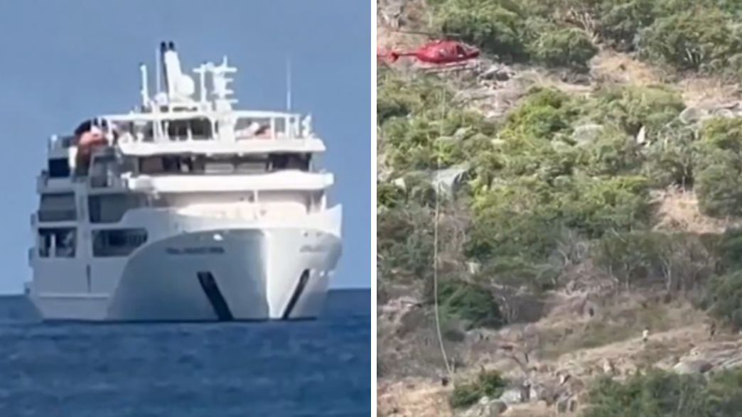 האי ליזרד האי ליזרד