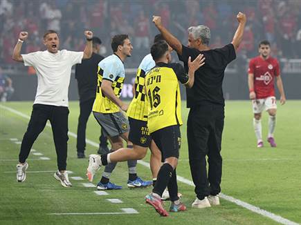 (צילום: אלן שיבר)