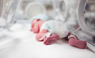 פגיה (צילום: ThinkstockPhotos)