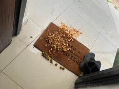 הדייט שהסתבך: 200 שיחות ביום, צואה על הרכב ואיומים