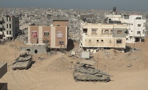 הקו הצהוב