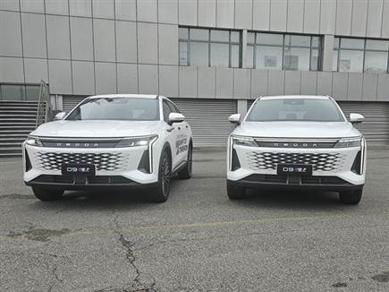 מותגי אומודה וג`אקו, Same same but different (צילום: ספורט 5)