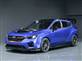סובארו Performance-B STI - לנו הוא נראה מוכן לייצור. מוגזם, אבל מוכן