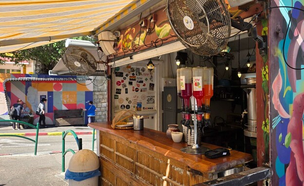 כנפה תלפיות