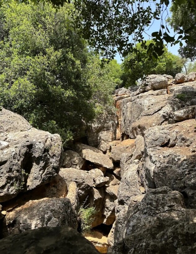 נקיקי יפתח נקיקי יפתח
