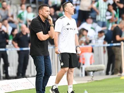 (ברני ארדוב)