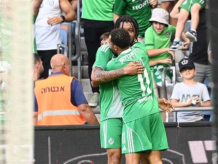 סטיוארט כבש ראשון (ברני ארדוב)