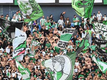 (ברני ארדוב) (ברני ארדוב)