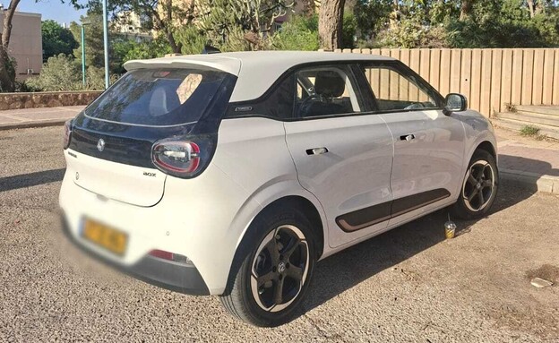 הרכב של טליה