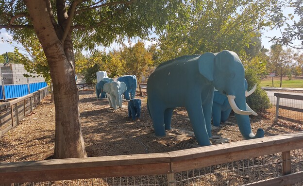 הווילג' - מלון מטיילים על הירדן