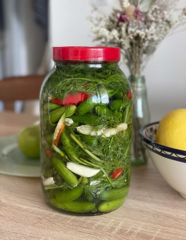 מלפפונים מותססים. יותר טעים, הרבה יותר בריא מלפפונים מותססים. יותר טעים, הרבה יותר בריא