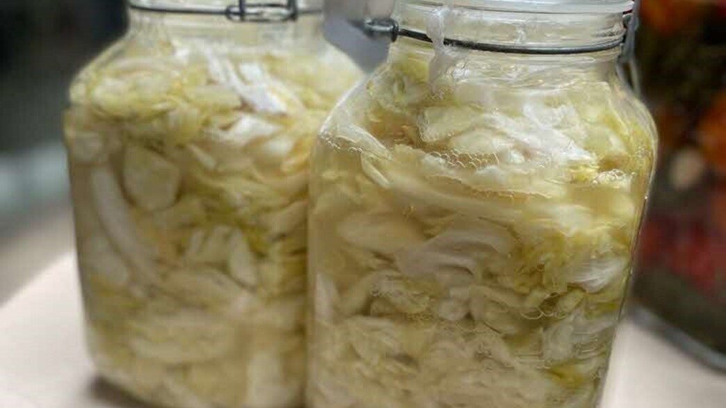 כרוב מותסס כרוב מותסס