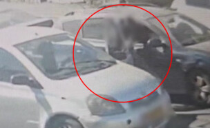 אירוע הדקירה בכביש (צילום: דוברות המשטרה)