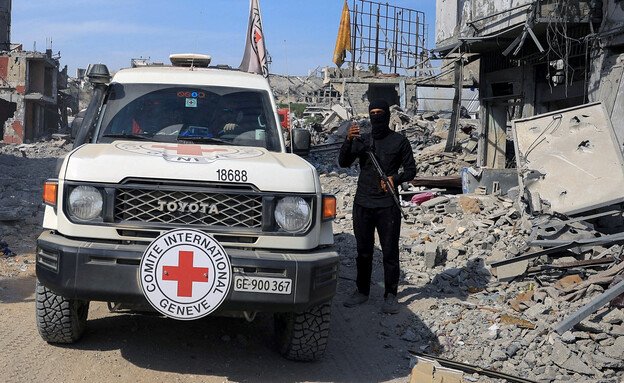 חיפוש אחר חללים חטופים, היום (צילום: reuters)