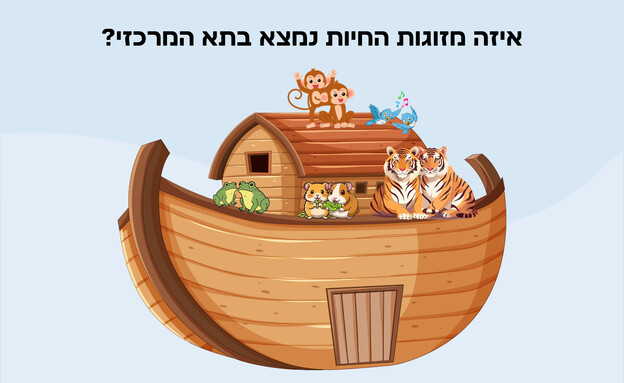 חידת תיבת נוח