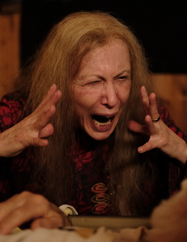 גילת אנקורי, "הורסת" (צילום: דורון עופר, באדיבות HOT)