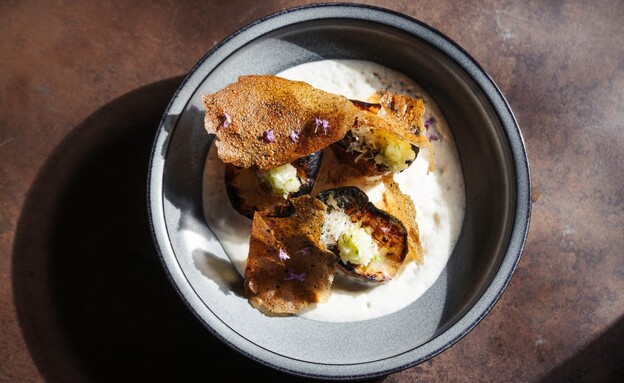 המטבח הפראי והאלגנטי של יוסי הייב