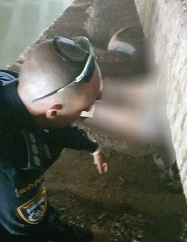 אחרי שבוע של חיפושים - הפרופסורית נורית יערי נמצאה: "היא בחיים אך 