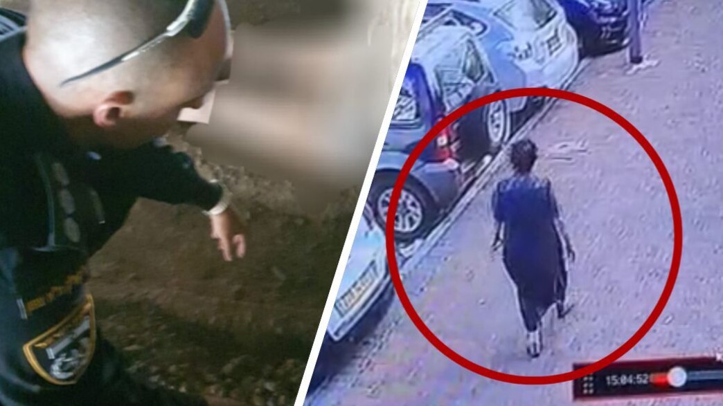 נורית יערי נורית יערי