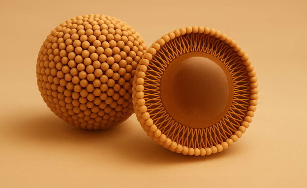 סקויה סקויה