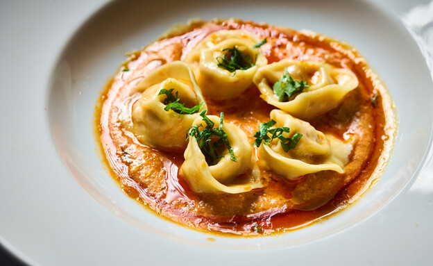 טורטליני עוף בגריל - ניצן אהרן 