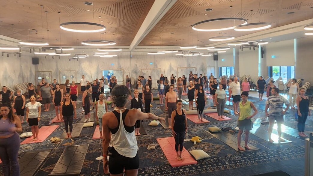 Copy of סקרינז