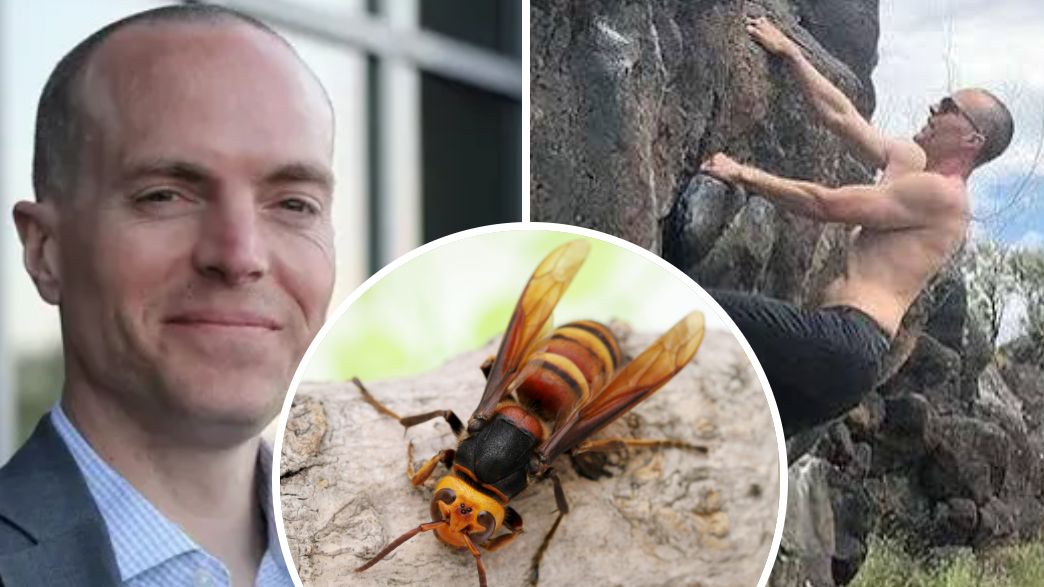 דניאל אוון דניאל אוון