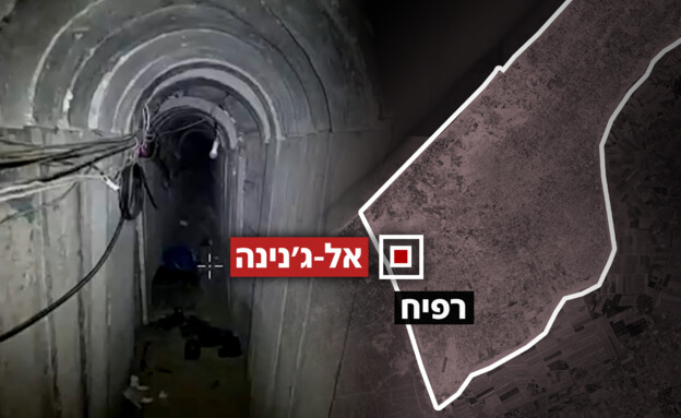 שכונת אל-ג'נינה (צילום: דובר צה