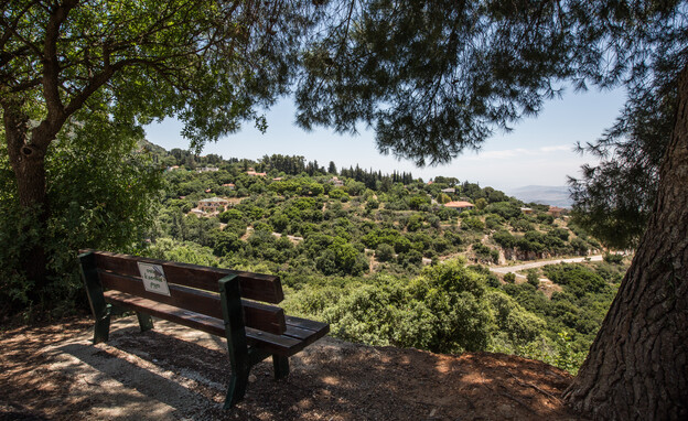 תצפית באמירים תצפית באמירים