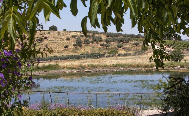 בריכת החורף בריכת החורף